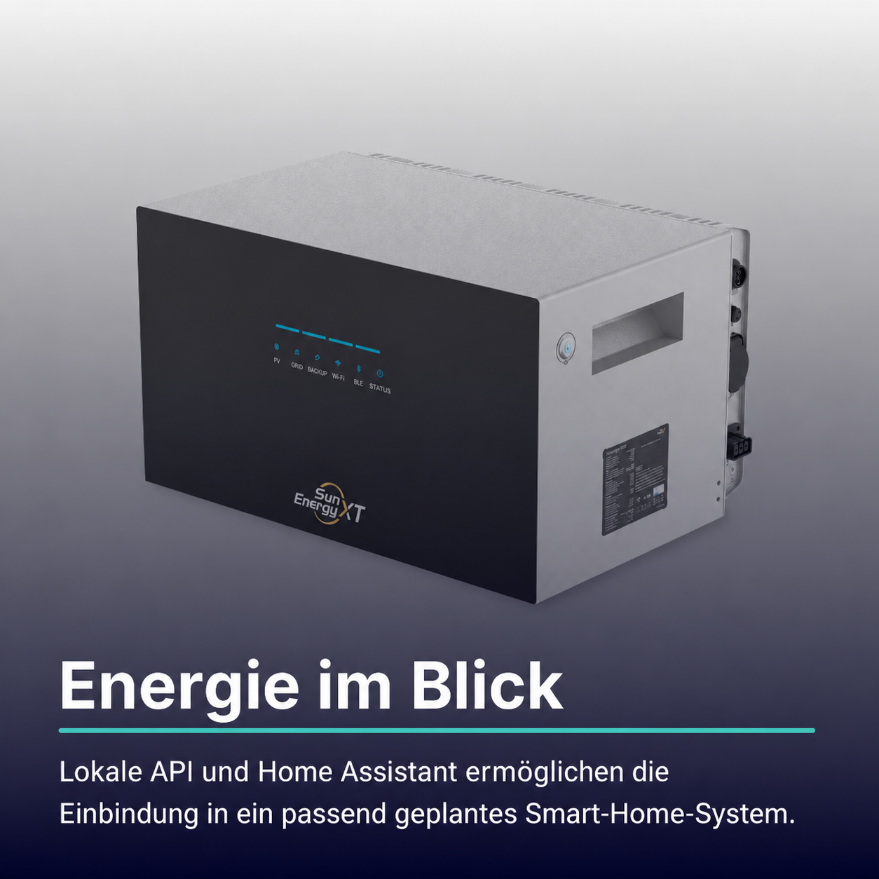 SunEnergyXT 500 mit lokaler API und Home Assistant Integration